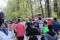 Damit es auf der Strecke nicht zum Stau kommt, werden die Läufer in verschiedene Startgruppen aufgeteilt. Rund 30 Minuten nach dem ersten Startschuss waren alle 6400 Läufer auf der Strecke. - © Philipp Kersten