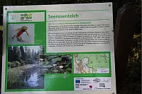 "NaturZeitReise" im Schwalenberger Wald. - © Silke Buhrmester