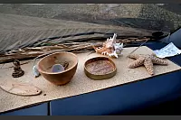 Vanessa Grant hat den Bulli mit viel Liebe zum Detail in den Farbtönen Beige und Weiß eingerichtet – mit goldenen Akzenten. - © Andreas Frücht