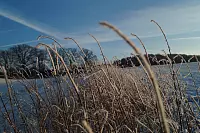 Winter - &copy; Leserfotos