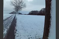 Bei einer Runde durch den Bruch bei Bad Salzuflen ist dieser Blick eingefangen worden. - &copy; Renate Peter