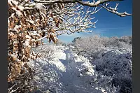 Dieses Winterfoto stammt aus Extertal. - &copy; Manfred Beloch