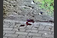 Im Bielefelder Ortsteil Windfl&ouml;te sind am sp&auml;ten Donnerstagabend zahlreiche Polizisten im Einsatz: Offenbar hat es bei einer Gewalttat unweit der Lippst&auml;dter Stra&szlig;e drei Verletzte gegeben. - &copy; Paul Brinkmann