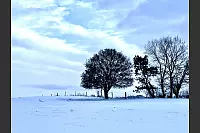 Dieses Foto entstand zwischen Silixen und dem Donoper Teich. - &copy; Jan Carstensen