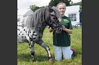Shetlandponyturnier in Vahlhausen - © Daniela Cremer