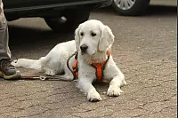 Das war die LZ-Sternwanderung 2018. - © Daniel Hobein