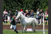 Shetlandponyturnier in Vahlhausen - © Daniela Cremer
