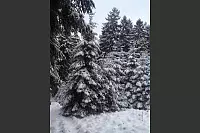 Winter - &copy; Leserfotos