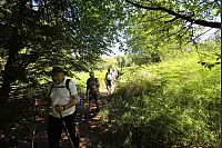 Am zweiten Tag ging es für die 17-köpfige Wandergruppe von Bad Driburg nach Kleineberg (Lichtenau). - © Niklas Böhmer