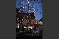 Weihnachstraum und Weihnachtslichter in Bad Salzuflen - &copy; Vera Gerstendorf-Welle