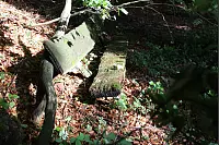 Traumhafte Aussichten auf dem kleinen Sternberger Rundweg in Extertal. - © Foto: Rademacher