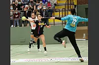 HSG Blomberg-Lippe - SV Union Halle-Neustadt - © Paul Cohen