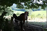 "NaturZeitReise" im Schwalenberger Wald. - © Silke Buhrmester