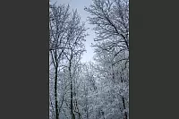 Winter - &copy; Leserfotos