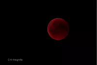 Blutmond &uuml;ber der Windm&uuml;hle in Bavenhausen - &copy; Christoph Hennes