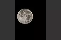 Supermond über Lippe - © Nicole Bertram