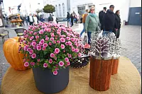 Der Bruchmarkt hat zwei Tage lang in die Lemgoer Innenstadt gelockt. - © Nicole Ellerbrake