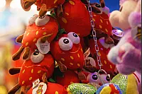 Spaß auf der Blomberger Stoppelfeldkirmes - © Nicole Ellerbrake