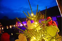 Der Museumsadvent im LWL-Freilichtmuseum Detmold erweist sich einmal mehr als Publikumsmagnet. - © Nicole Ellerbrake