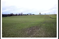Feldmark - © Privat