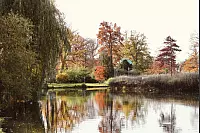 Auch der Kurpark ist aktuell ein buntes "Herbstwunder". - © Melanie Meyer