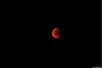 Blutmond &uuml;ber Velmerstot - &copy; Joel Br&ouml;ker