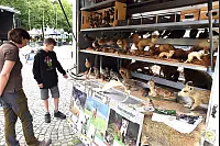 Musik und Mitmachaktionen - © Karin Prignitz