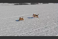 Winter - &copy; Leserfotos