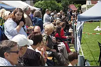 Shetlandponyturnier in Vahlhausen - © Daniela Cremer