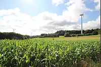 Traumhafte Aussichten auf dem kleinen Sternberger Rundweg in Extertal. - © Foto: Rademacher