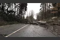 Bäume liegen auf der Gaffel (zwischen Barntrup und Blomberg) quer über der Straße. Die Straße ist gesperrt. - © Mario Brink/Brink-Medien