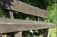 Wandern zum Lippischen Velmerstot und am Silberbach entlang. - © Janet König