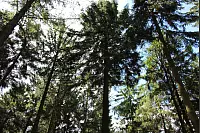 Wandern zum Lippischen Velmerstot und am Silberbach entlang. - © Janet König