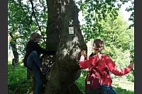 Jakob und Klara bei einer Kletterpartie zwischen Vogelpark und Hermannsdenkmal. - &copy; Heike Hermann
