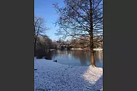 Winter - &copy; Leserfotos