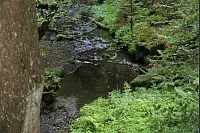 Wandern zum Lippischen Velmerstot und am Silberbach entlang. - © Janet König