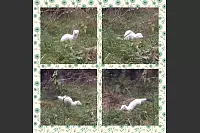 Winter - &copy; Leserfotos