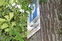 Wandern zum Lippischen Velmerstot und am Silberbach entlang. - © Janet König
