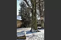 Winter - &copy; Leserfotos