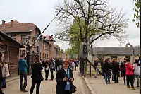 Zynischer Spruch über dem Eingang zum Stammlager Auschwitz I - © Silke Buhrmester(LZ)