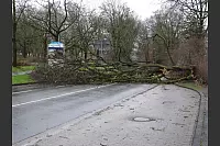 Die Bismarckstraße in Bad Salzuflen war komplett blockiert. - © Henry Poritz