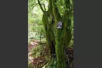 Zwerg-Anton-Tour: Wandern auf den Spuren von Märchen und Sagen. - © Benjamin Möller
