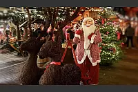 Der Weihnachtsmann schaut mit seinem Rentier-Schlitten vorbei. - © Apple Photos Clean Up