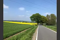 Natur, wohin das Auge blickt: Die Radtour zwischen Barntrup und Alverdissen bietet eine tolle Aussicht. - © Silke Buhrmester