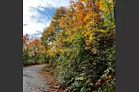Goldener Herbst in Lippe - © Kirsten Fuhrmann