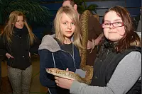 Reptilienmesse Lemgo, Foto: Tanja Watermann