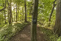 Familienwanderweg in Hörste - © Torben Gocke