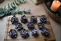 F&uuml;r den letzten Feinschliff k&ouml;nnen die Schoko-Tannenzapfen noch mit Puderzucker best&auml;ubt werden. - &copy; Veronika Kinsfator