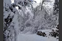 Diese Winterlandschaft befindet sich am Hermansweg in Detmold-Berlebeck. - &copy; Monika Hoffmmann-B&ouml;hme