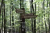 "NaturZeitReise" im Schwalenberger Wald. - © Silke Buhrmester